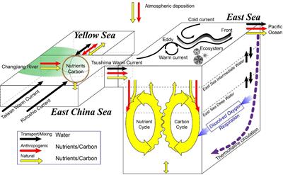 Editorial: Physics and Biogeochemistry of the East Asian Marginal Seas